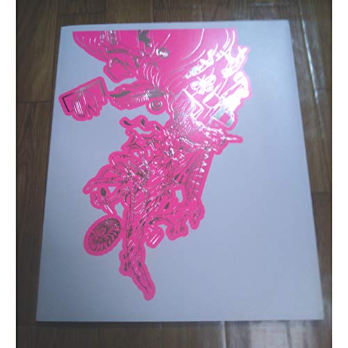 「ほぼ新品」Dream~A~live 2008\n\nパンフレット(中古品)