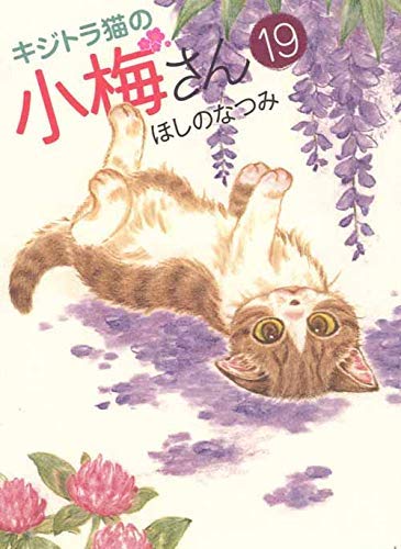 定本佐藤春夫全集  第２１巻 /臨川書店/佐藤春夫（単行本） 定本佐藤春夫全集（臨川書店）全38巻 –