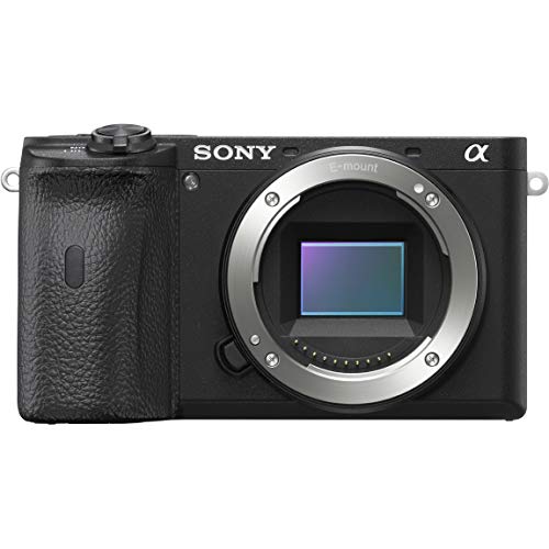 ソニー SONY ミラーレス一眼 α6600 ボディ ブラック ILCE-6600(中古品 