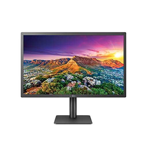 23.7インチUltraFine 4Kモニター 3840 x 2160 / IPSパネル/Thunderbolt 3で(中古品) その他