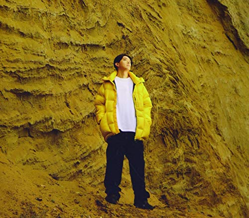 en route(通常盤:CD+DVD)(中古品)の通販は 5,500円