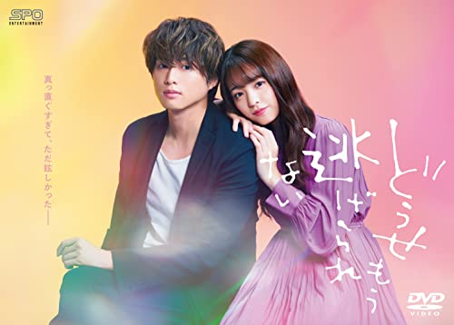 「ほぼ新品」どうせもう逃げられない DVD-BOX(中古品)