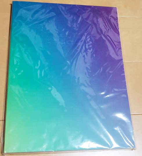 嵐 ARASHI LIVE TOUR Beautiful World パンフレット(中古品)の通販は 59,880円