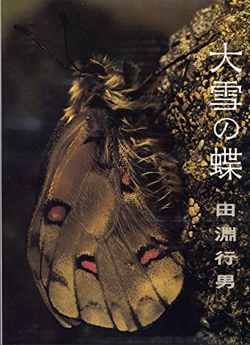 【中古】大雪の蝶 (1978年) 大雪の蝶 (1978年)(中古品) 【公式通販】