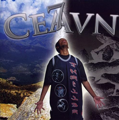 「非常に良い」Ceavn(中古品)