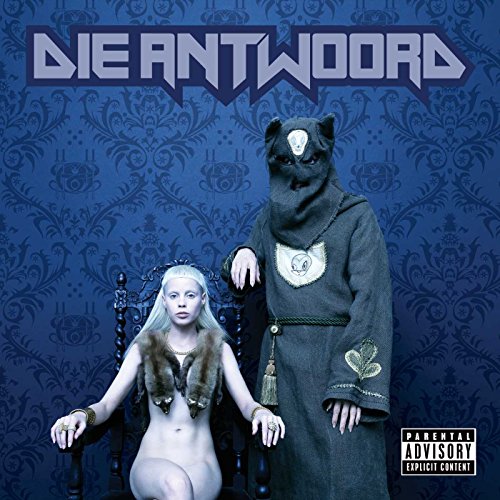 DIEANTWOORD(中古品)
