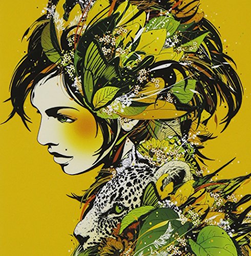 「ほぼ新品」Kaleidoscope(中古品) 6,107円