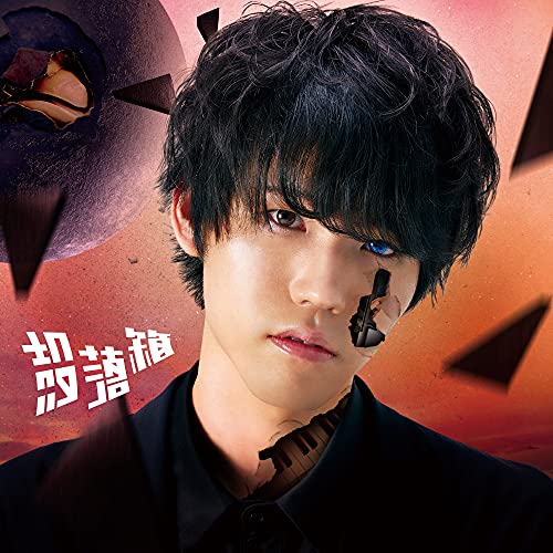 「非常に良い」殻落箱 (盤)(中古品)