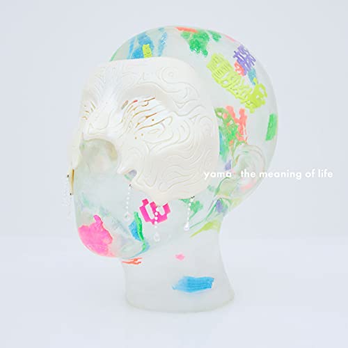 「ほぼ新品」the meaning of life (通常盤)(中古品)