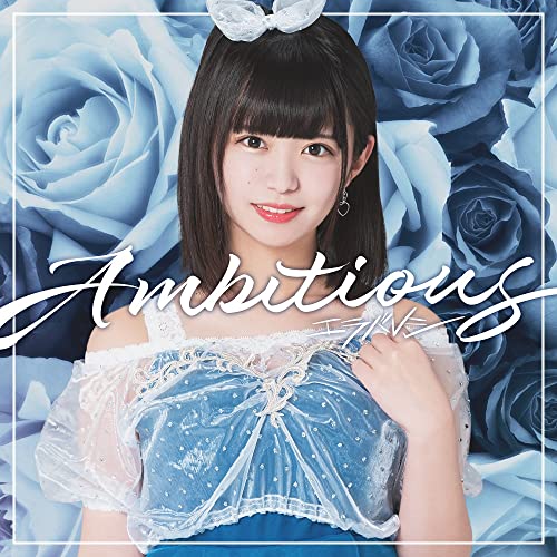 「未当てはめる品」Ambitious(朝倉小ゆり盤)(中古品)