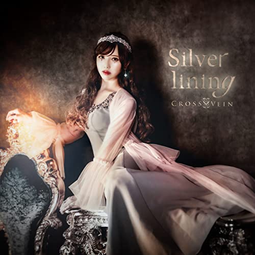 「未当てはめる品」Silver lining(中古品)