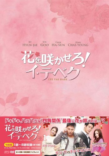 「非常に良い」花を咲かせろ! イ・テベク DVD-BOX1(中古品)