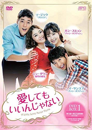 愛してもいいんじゃない DVD-BOX1(9枚組)(中古品)