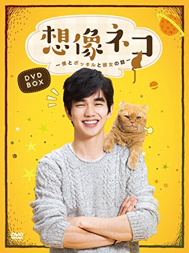 想像ネコ~僕とポッキルと彼女の話~ DVD-BOX(中古品)