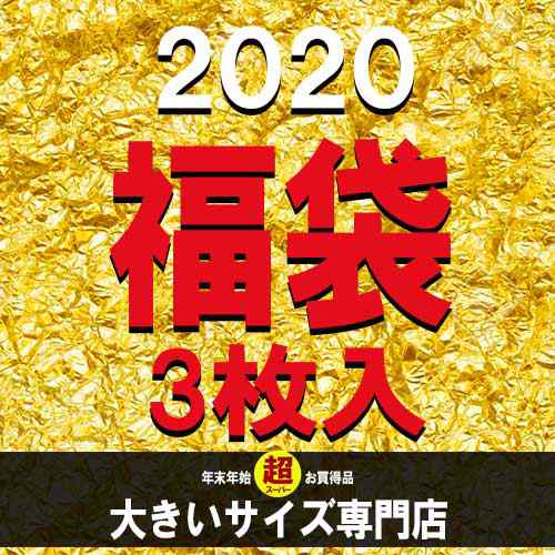 福袋 3枚入り 大きいサイズ レディース ラッキーバッグ 元旦 新年 年始 バーゲン 福袋 秋 冬 新作 おおきい L Ll 3l 4l 5l 6l 19の通販はau Pay マーケット Poporarino