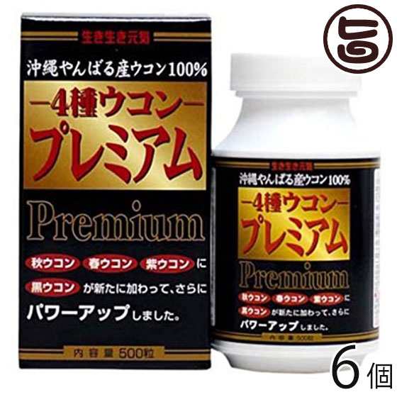 4種ウコンプレミアム 100g(1粒/200mg×500粒)×6個 沖縄 土産 人気 健康 クルクミン豊富 サプリメント うこん 鬱金