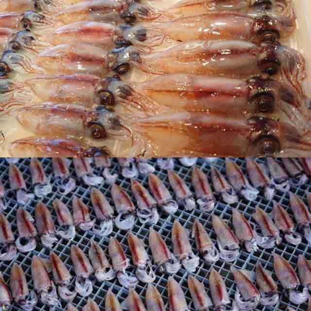 男女兼用 ホタルイカいしる干し 30g×5袋 魚醤に漬け込みました 日本海