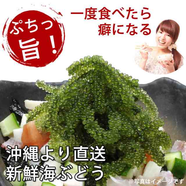 大幸商事 沖縄県産 海ぶどう タレ付 g 1p 沖縄 人気 定番 土産 海藻 送料無料の通販はau Pay マーケット 旨いもんハンター