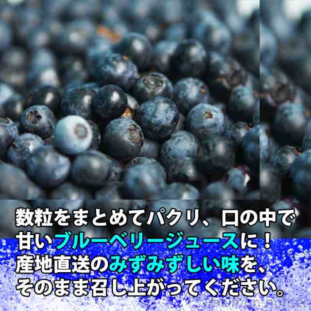 冷凍ブルーベリー100g×5P 堀うち農園 無農薬栽培 安心 安全