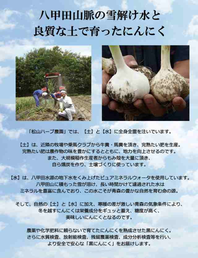 熟成黒にんにく 青森産 100g×3P 松山ハーブ農園 黒ニンニク 青森産