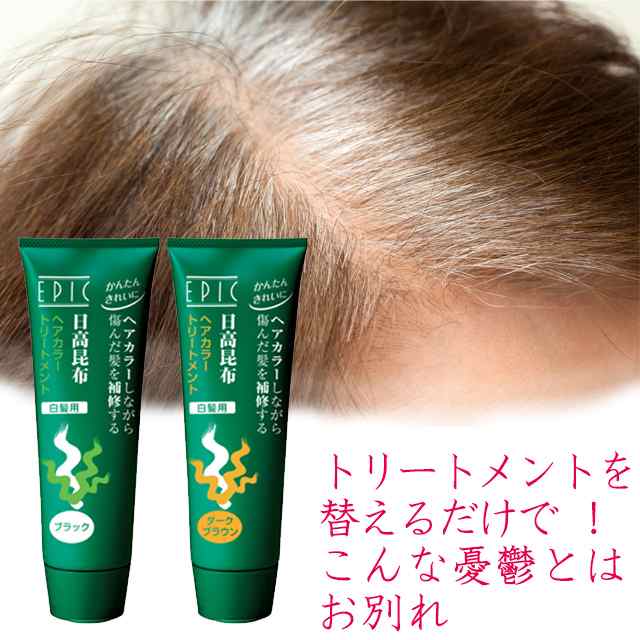 エピック ヘアカラートリートメント 250g 日高昆布 白髪染め ダーク