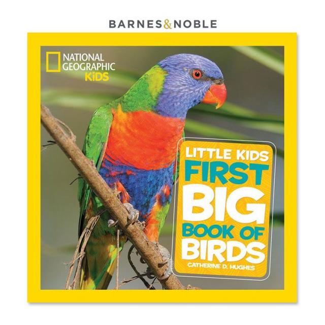 【洋書】ナショナルジオグラフィック リトルキッズ ファーストビッグブック「鳥図鑑」 [キャサリン・D・ヒューズ] National Geographic Kids First Big Book of Birds [Catherine D. Hughes]