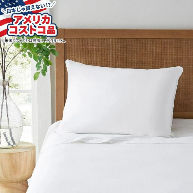 お取り寄せ ダウンライト ヨーロピアン ダウン ピロー キングサイズ 中くらい Downlite European Down Pillow King Size Medium