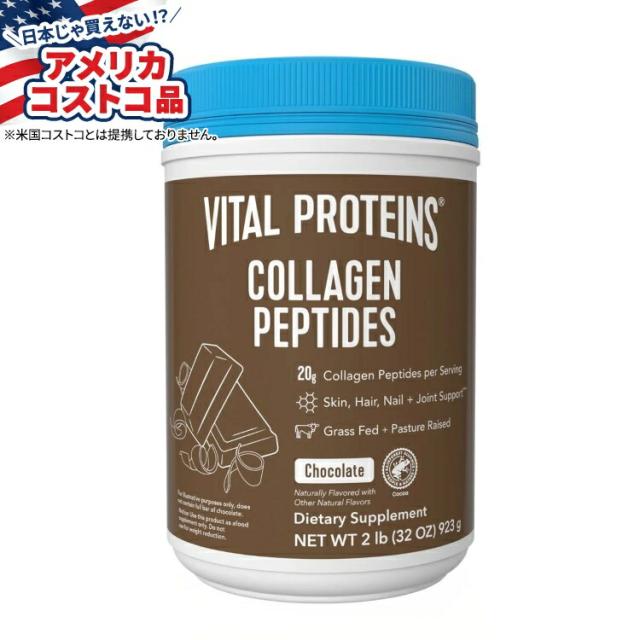 パワフルに切れるプロ用シザーカットバサミ理美容師＆トリマー