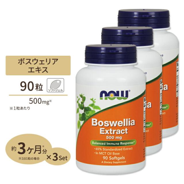 ボスウェリア・セラータ　輸入種子100粒 Boswellia