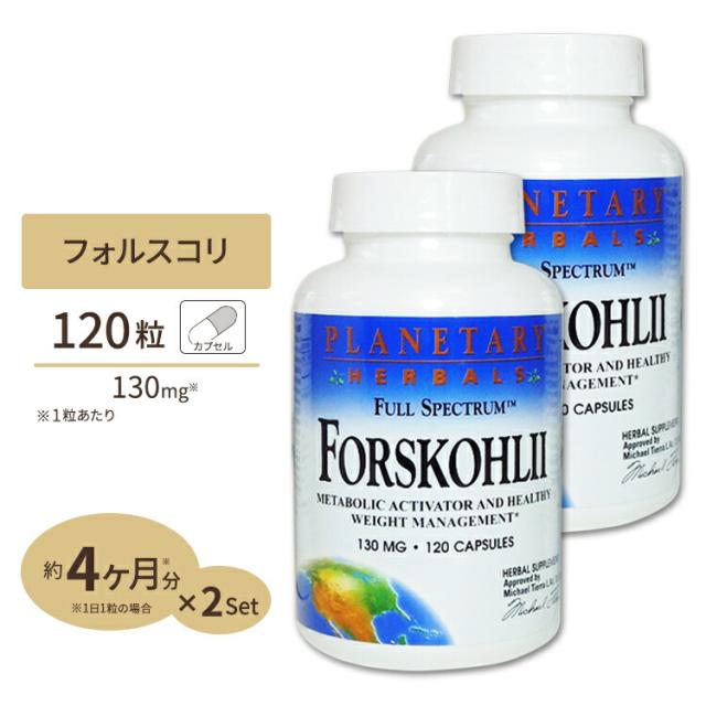 CBN アイソレート 100g 成分分析済