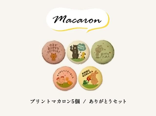 【送料無料】天空の福袋 14000円相当分 ⇒ 10000円 天空のチーズケーキ プリン アソート フォンダンショコラ マカロン 珈琲 個包装 箱入り お礼 ギフト フォチェッタ_3