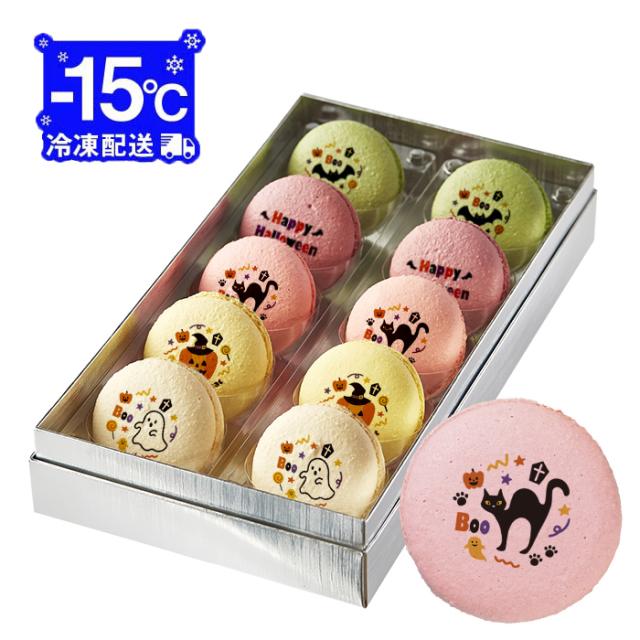 フレック】 ショコラズコット(ベルギー産チョコレート使用) 約65G 6食