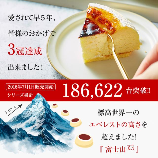 送料無料】天空のチーズケーキ いちご 苺 ストロベリー ギフト 濃厚
