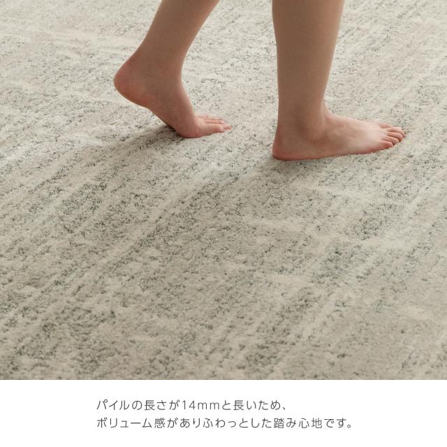 【I】【代引不可】 イケヒコ ラグ カーペット ウィルトン織 タック 約200×250cm ホットカーペット対応 床暖対応 ナチュラル 【北海道・沖縄・離島不可】_5