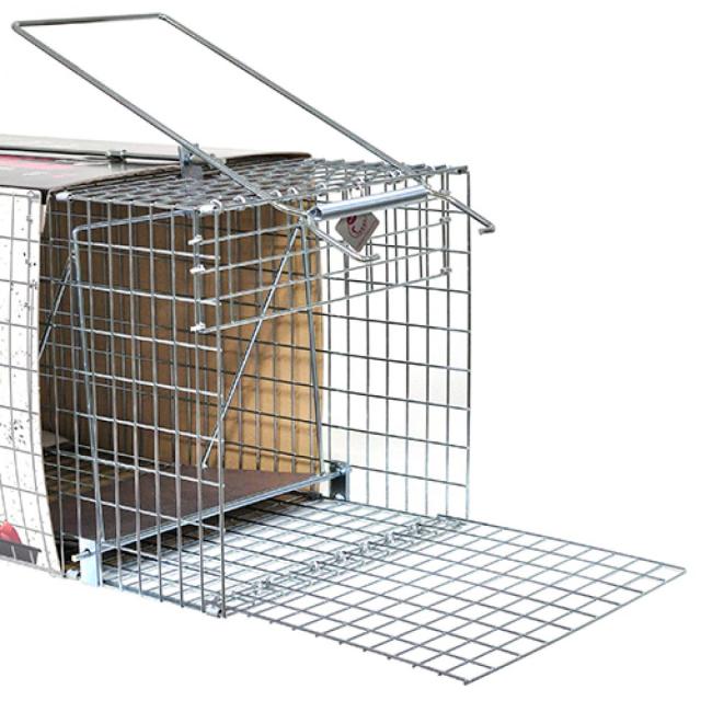 栄ヒルズ 保護器DtypeNO.304 TN-41　イタチ(オス)・タヌキ捕獲 害獣対策 アニマルトラップ