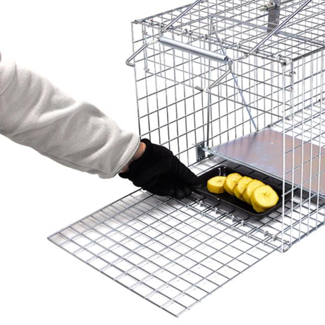 栄ヒルズ 保護器DtypeNO.304 TN-41　イタチ(オス)・タヌキ捕獲 害獣対策 アニマルトラップ