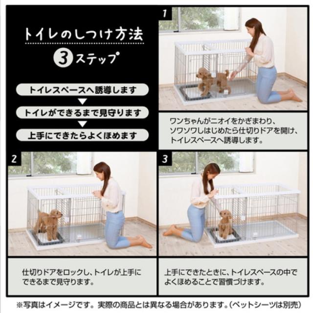 2F】 【在庫有・即納】 ぺティオ (Petio) トイレのしつけが出来る  