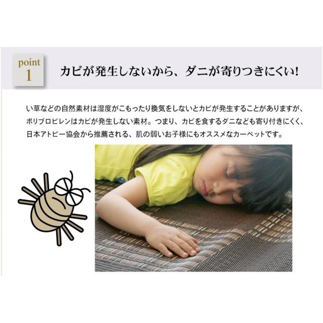 【i】【代引不可】イケヒコ(IKEHIKO) ラグ カーペット ウィード 江戸間6畳 ブラック 約261×352cm 日本製 洗える 2116903【北海道・沖縄・離島不可】_4