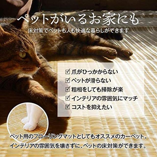 【i】イケヒコ ラグ カーペット バルカン ベージュ 江戸間6畳 約261×352cm 日本製 洗える #2102202 PPラグ【北海道・沖縄・離島不可】_3