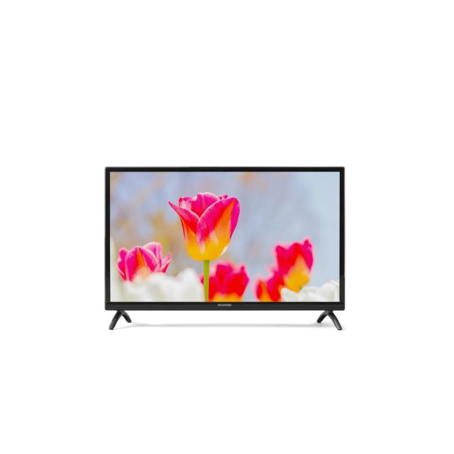 IRIS OHYAMA 24WB10PB 24V型液晶テレビ IRIS OHYAMA テレビ 24インチ 24型 24V型ハイビジョンテレビ 24WB10PB