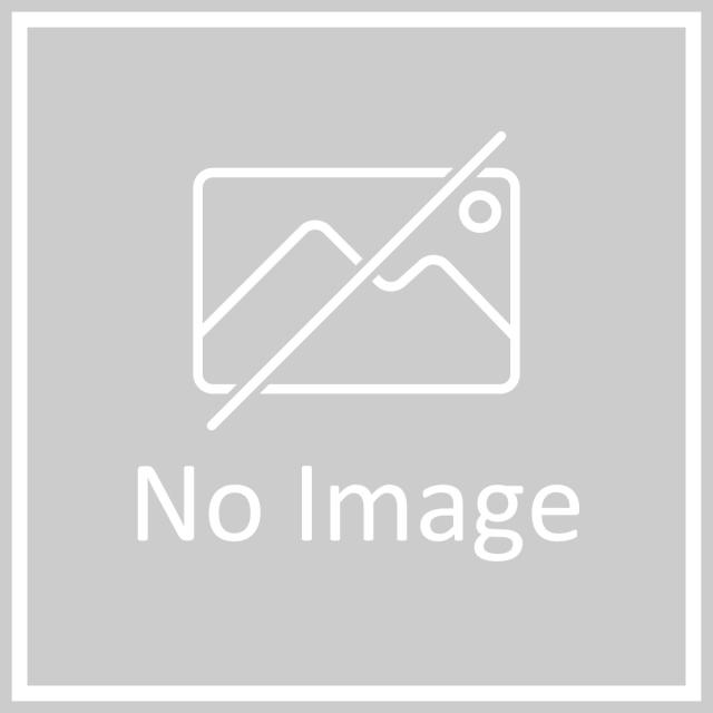 【I】ALINCO アルインコ 伸縮脚付掛けはしご兼用脚立 GAUDI-X(ガウディ)150コマーシャル GUD150X 【代引不可/北海道・沖縄・離島不可】