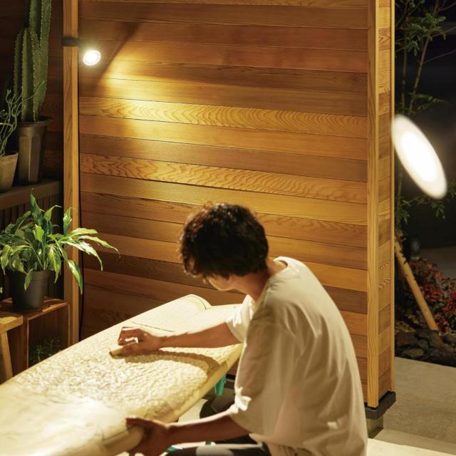 タカショー ひかりノベーション 活動のひかり 基本セット LGL-LH05P ガーデンライト 防水 屋外 庭 LED ライト ライトアップ ダウンライト 間接照明 takasho_1