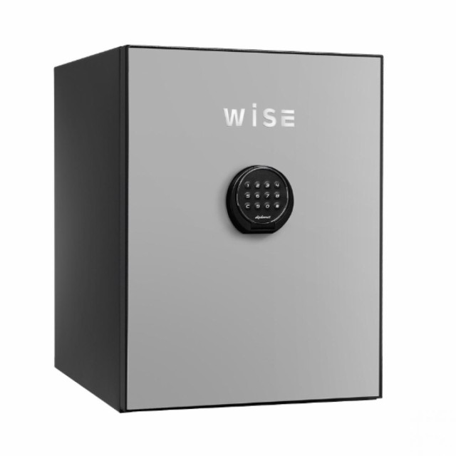 WiSE プレミアム金庫 ライトグレイ ＷＳ５００ＡＬＬＧ