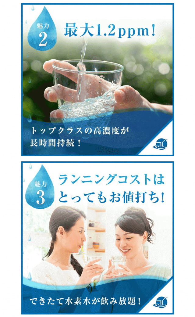 高濃度水素水生成器 Lourdes (シャインシルバー) - 1