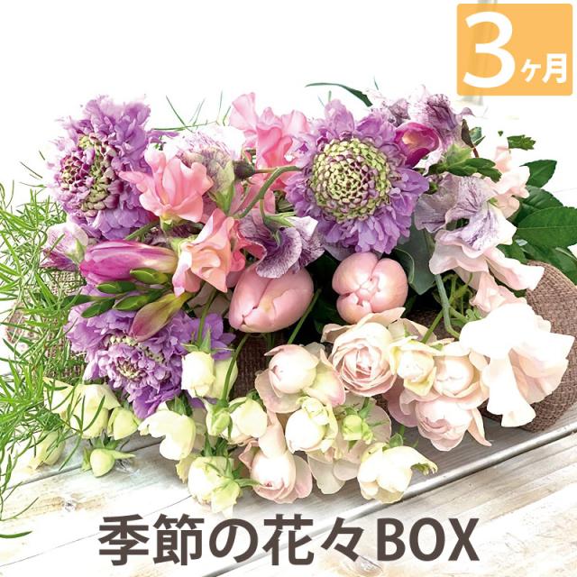 毎月第2火曜にお届け 生花 花々box Bコース3ヶ月 送料無料 ギフト お祝い 敬老 誕生日 頒布会 お花の定期便 毎月届く 花束 花のの通販はau Pay マーケット 花まりか