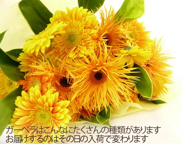 花言葉希望ガーベラの花束本 生花 フラワーギフト 生花アレンジ アレンジメント お祝い生花 結婚祝い お誕生日 お返しの通販はau Pay マーケット 花まりか 花言葉希望ガーベラの花束本 生花 フラワーギフト 生花アレンジ アレンジメント お祝い生花 結婚祝い お誕生日 お返しの通販はau Pay マーケット 花まりか