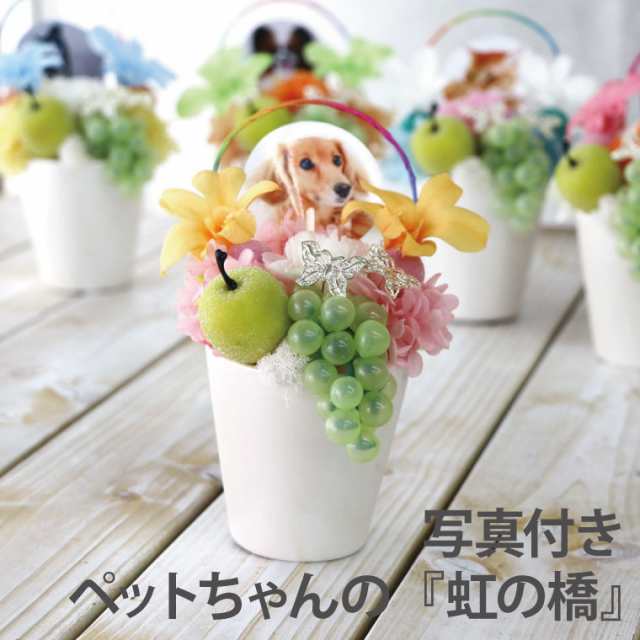 即日発送 16時〆切 お供え 虹の橋 送料無料 プリザーブドフラワー 仏花 ペット かわいい 花 供養花 猫 犬 うさぎ 献花 命日 お悔の通販はau Pay マーケット 花まりか