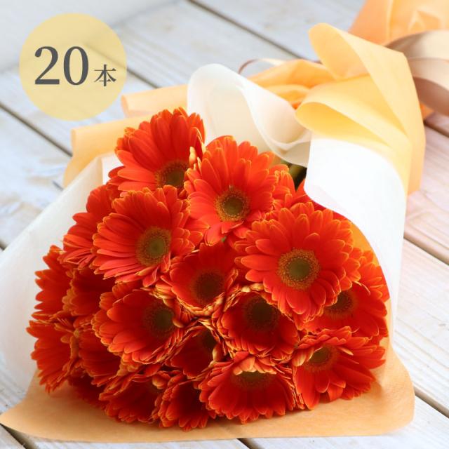7日前予約品 花言葉希望ガーベラの花束本 生花 フラワーギフト 生花アレンジ アレンジメント お祝い生花 結婚祝い お誕生日 おの通販はau Pay マーケット 花まりか