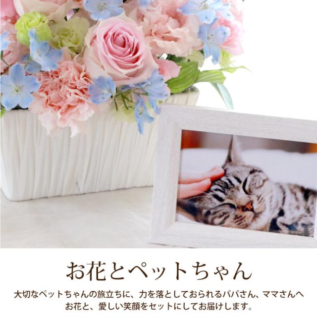 即日発送 16時〆切 ペット お供え花 星になったあの子へ Ac 生花 送料無料 ペットちゃん供養花 お悔み ペットロス 犬 猫 うさぎ の通販はau Pay マーケット 花まりか 即日発送 16時〆切 ペット お供え花 星になったあの子へ Ac 生花 送料無料 ペットちゃん供養花 お悔み ペットロス 犬 猫 うさぎ の通販はau Pay マーケット 花まりか