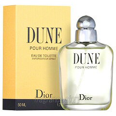 クリスチャン ディオール CHRISTIAN DIOR デューン プールオム 100ml